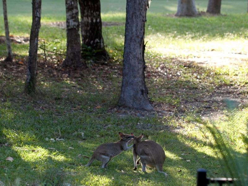 13/168-174 Moore Road ‘The Keys’, Kewarra Beach QLD 4879