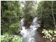Lot 45 Douglas Track Road, Kamerunga QLD 4870
