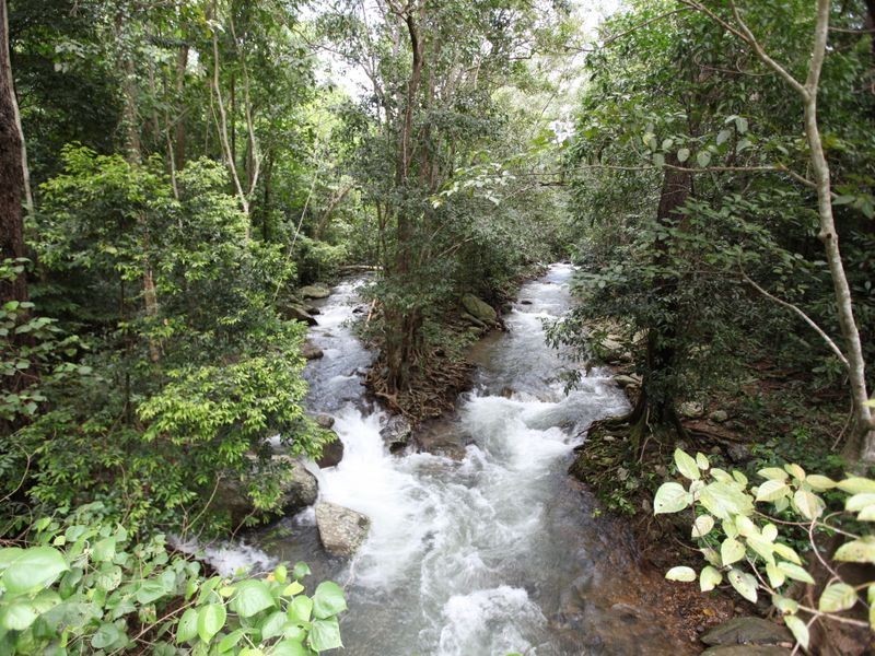 Lot 45 Douglas Track Road, Kamerunga QLD 4870