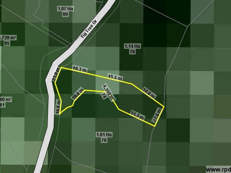 74-76 Fig Tree Drive, Caravonica QLD 4878