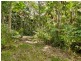 6 Fern Tree Place, Kuranda QLD 4881