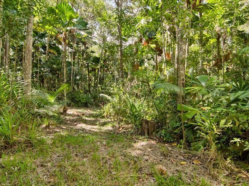 6 Fern Tree Place, Kuranda QLD 4881