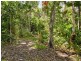 6 Fern Tree Place, Kuranda QLD 4881