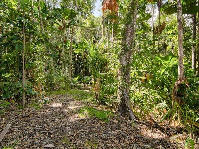 6 Fern Tree Place, Kuranda QLD 4881