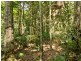 6 Fern Tree Place, Kuranda QLD 4881