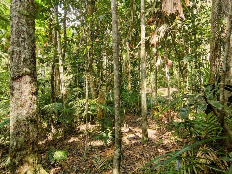 6 Fern Tree Place, Kuranda QLD 4881