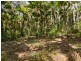 6 Fern Tree Place, Kuranda QLD 4881