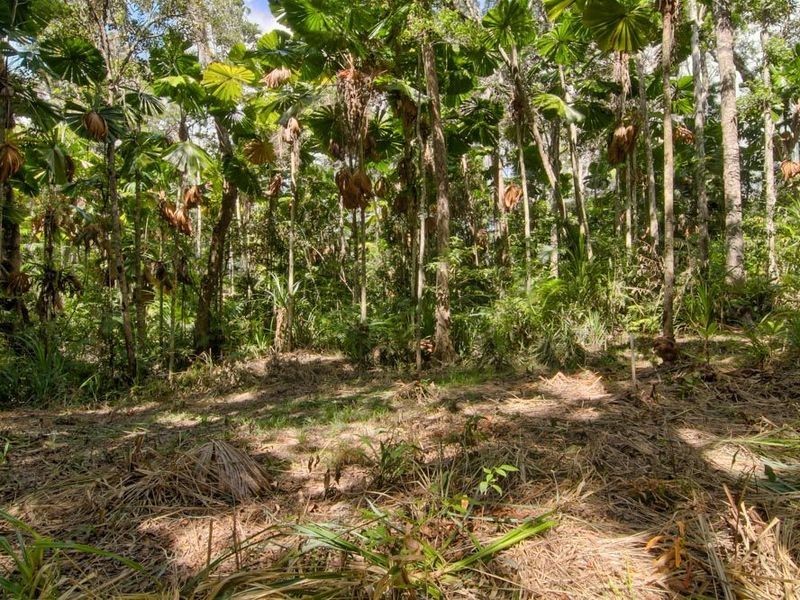 6 Fern Tree Place, Kuranda QLD 4881