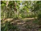 6 Fern Tree Place, Kuranda QLD 4881