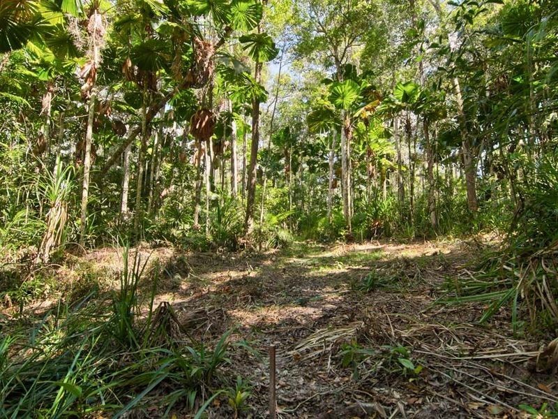 6 Fern Tree Place, Kuranda QLD 4881