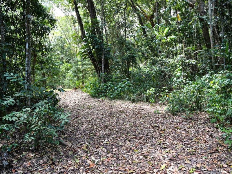 Kuranda QLD 4881