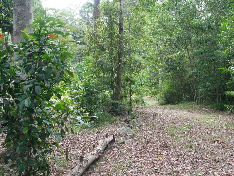 Kuranda QLD 4881