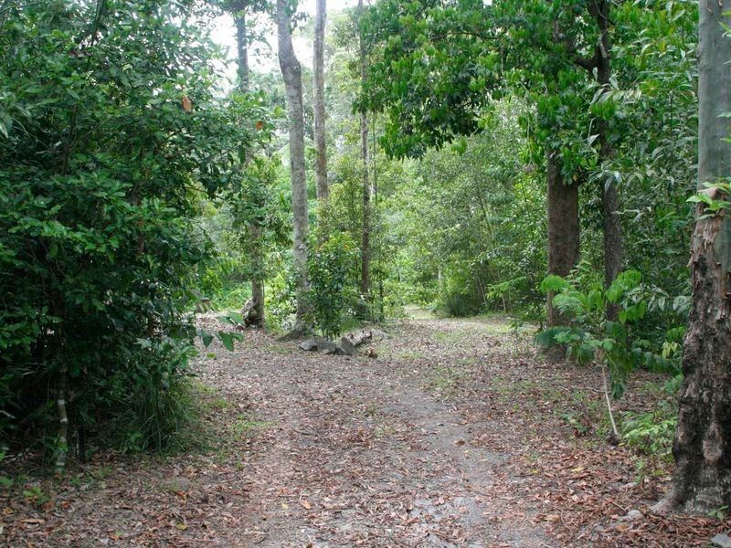 Kuranda QLD 4881