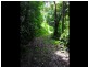 32 Pannikin Street, Gordonvale QLD 4865