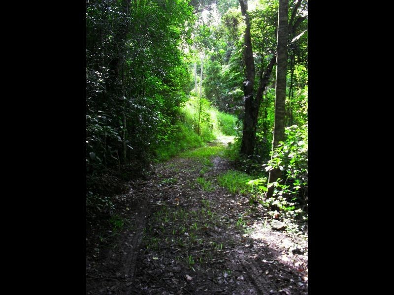 32 Pannikin Street, Gordonvale QLD 4865