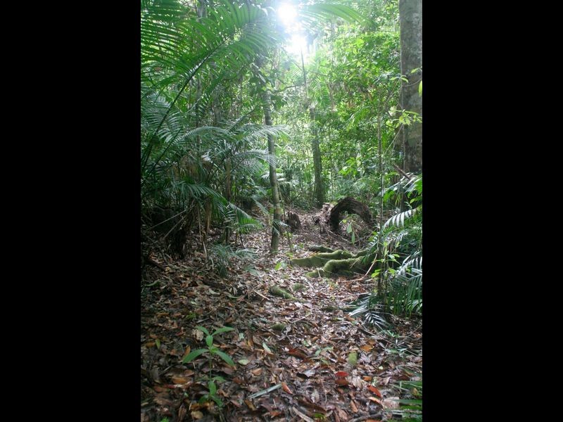 41 Barron Falls Road, Kuranda QLD 4881