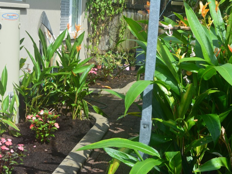 1/70-72 Cunningham Street, Yorkeys Knob QLD 4878