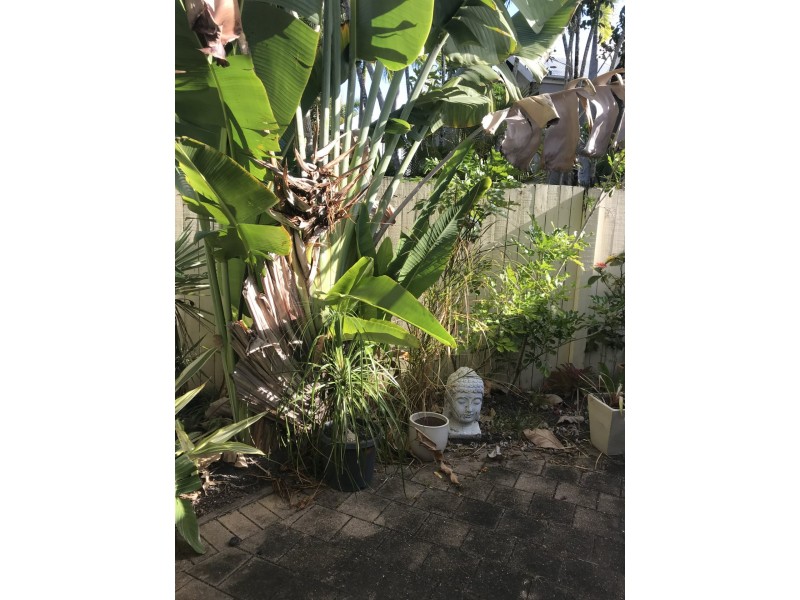 1/1-3 Buckley Street, Yorkeys Knob QLD 4878