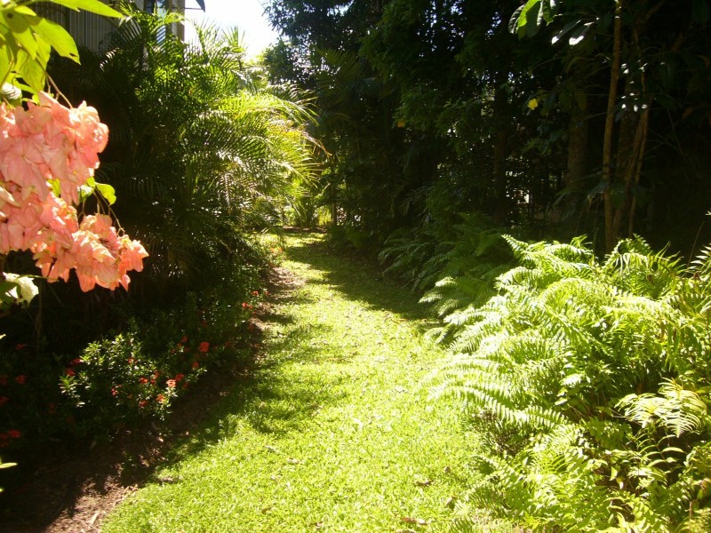 3/538 Varley Street, Yorkeys Knob QLD 4878