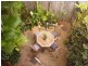 6/54 Best Street, Yorkeys Knob QLD 4878
