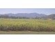 Lot 92 Mount Peter Road, Edmonton QLD 4869