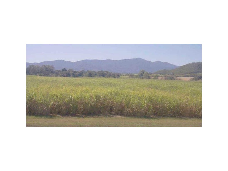 Lot 92 Mount Peter Road, Edmonton QLD 4869