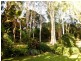 4/6 Deauville Close BEACHHAVEN APA, Yorkeys Knob QLD 4878