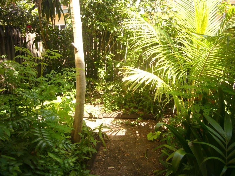 1/16-20 Rutherford Street, Yorkeys Knob QLD 4878