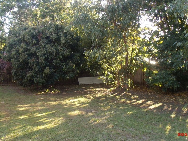 126 Reed Road, Trinity Park QLD 4879