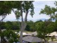 1 Retreat Close, Palm Cove QLD 4879