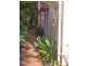 1/54 Best Street, Yorkeys Knob QLD 4878