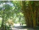 Lot 2 Forrester Street, Clifton Beach QLD 4879