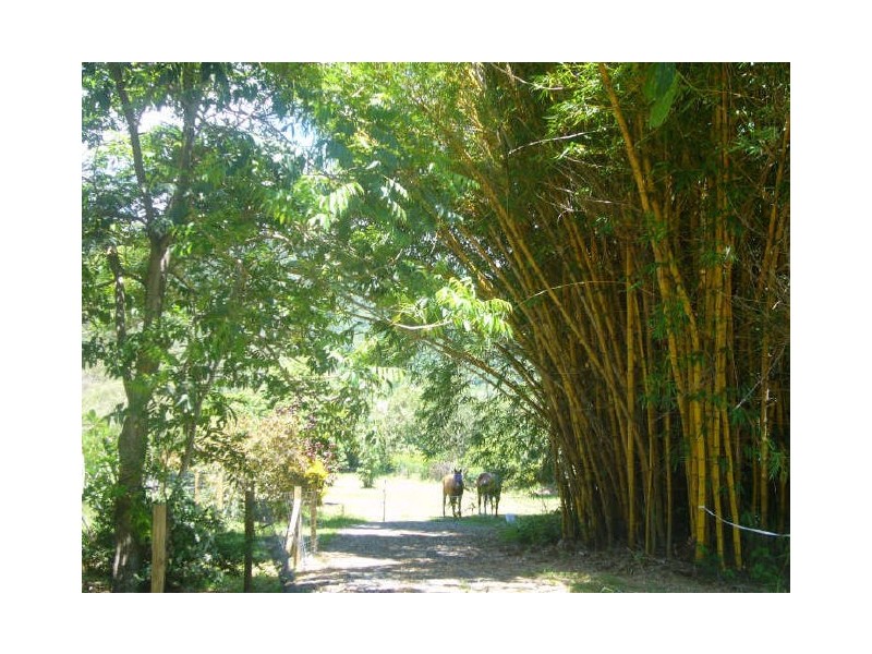 Lot 2 Forrester Street, Clifton Beach QLD 4879