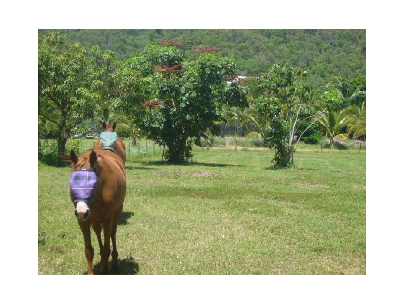 Lot 2 Forrester Street, Clifton Beach QLD 4879