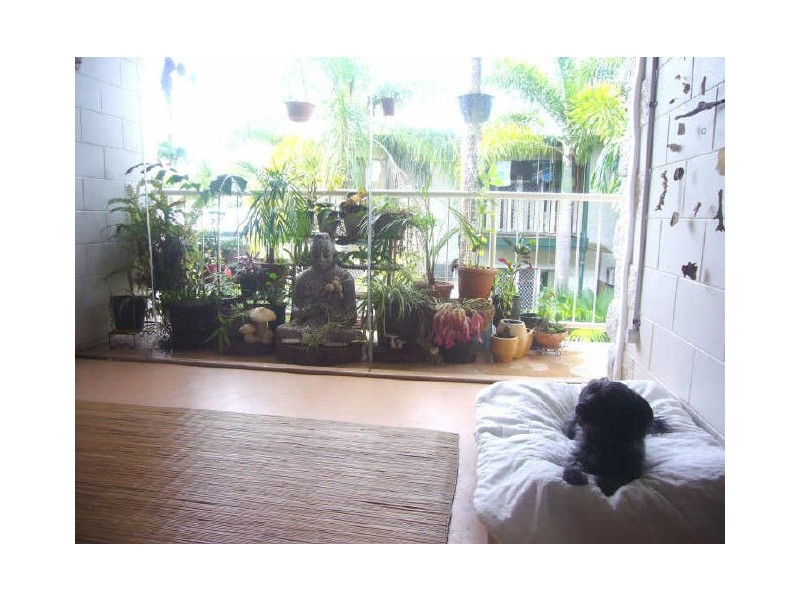 6/542 Varley Street, Yorkeys Knob QLD 4878