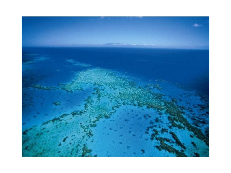 6/542 Varley Street, Yorkeys Knob QLD 4878