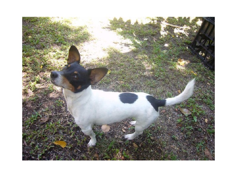 3/20 Best Street, Yorkeys Knob QLD 4878