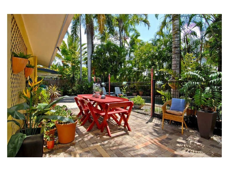 3 Oliva Street, Palm Cove QLD 4879