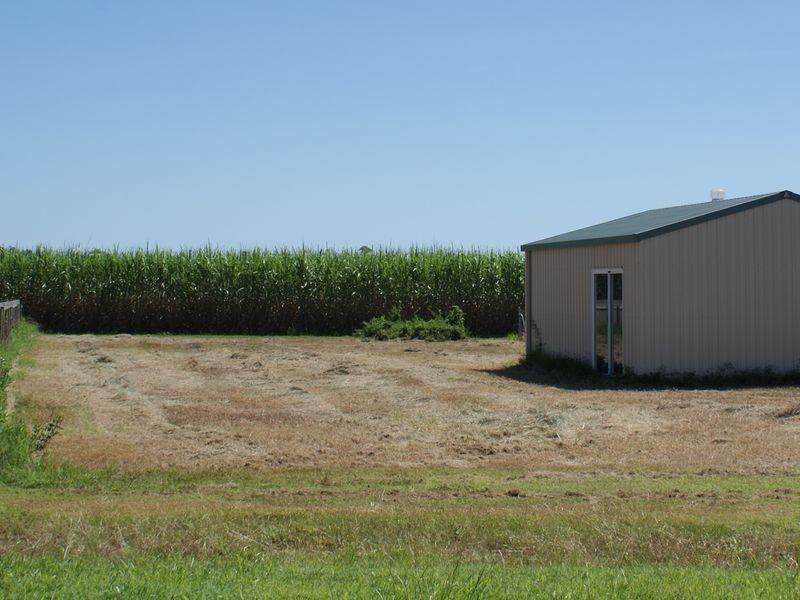 292 Japoon Road, Silkwood QLD 4856