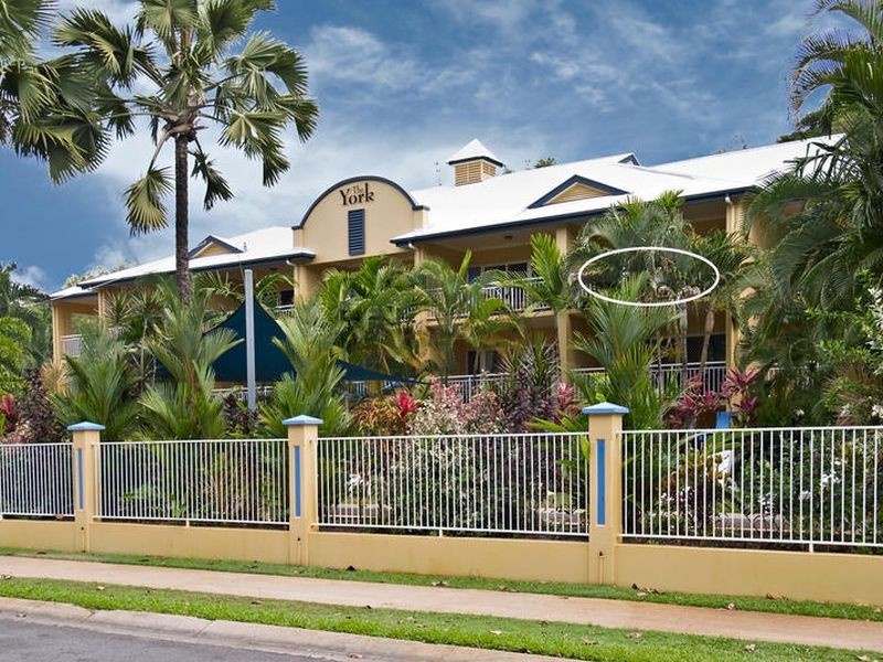 17/61 Sims Esplanade, Yorkeys Knob QLD 4878
