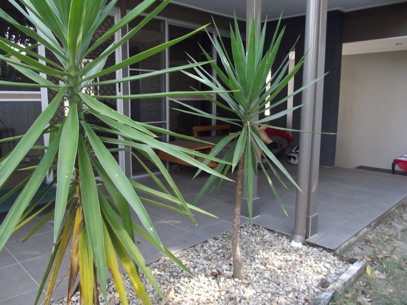 96 Cunningham Street, Yorkeys Knob QLD 4878