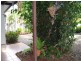 468 Varley Street, Yorkeys Knob QLD 4878