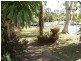 2/21-31 Poinciana Street, Holloways Beach QLD 4878
