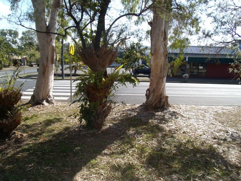 2/21-31 Poinciana Street, Holloways Beach QLD 4878