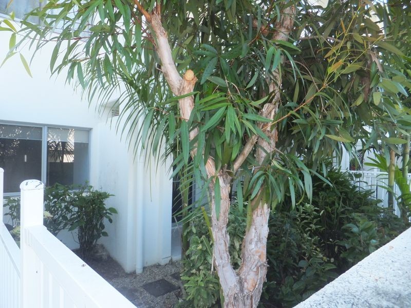 20/108-118 Trinity Beach Road, Trinity Beach QLD 4879