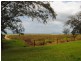 3/41 Sims Esplanade, Yorkeys Knob QLD 4878