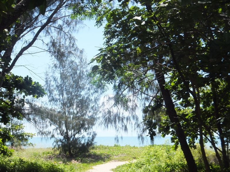 5/65 Sims Esplanade, Yorkeys Knob QLD 4878