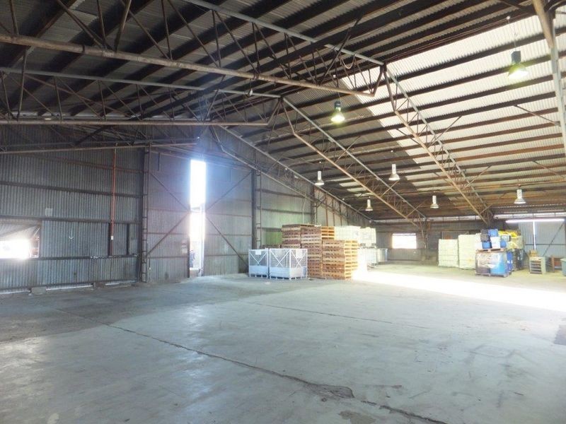 157 Hartley Street, Portsmith QLD 4870