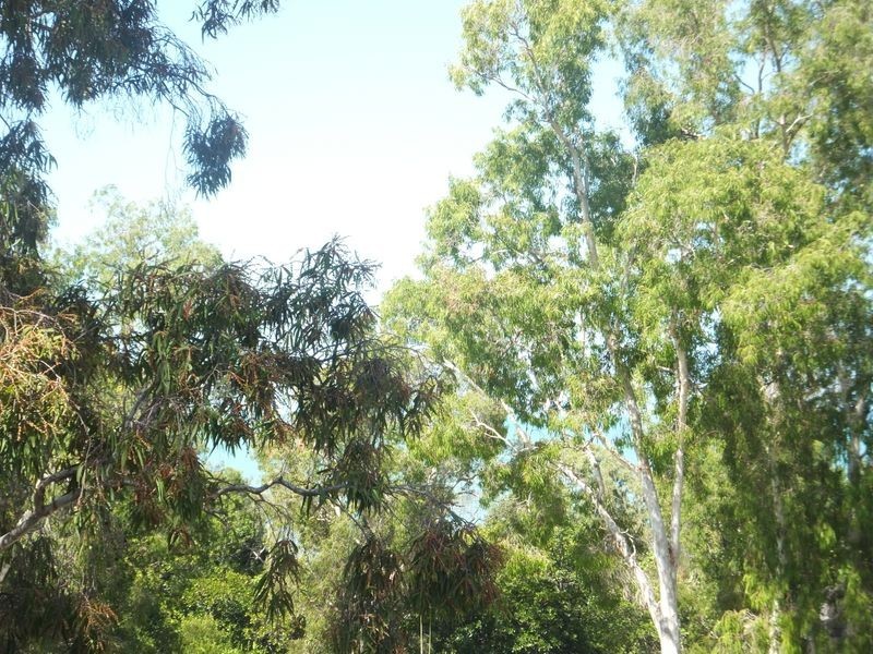 426-427/5 Triton Street, Palm Cove QLD 4879