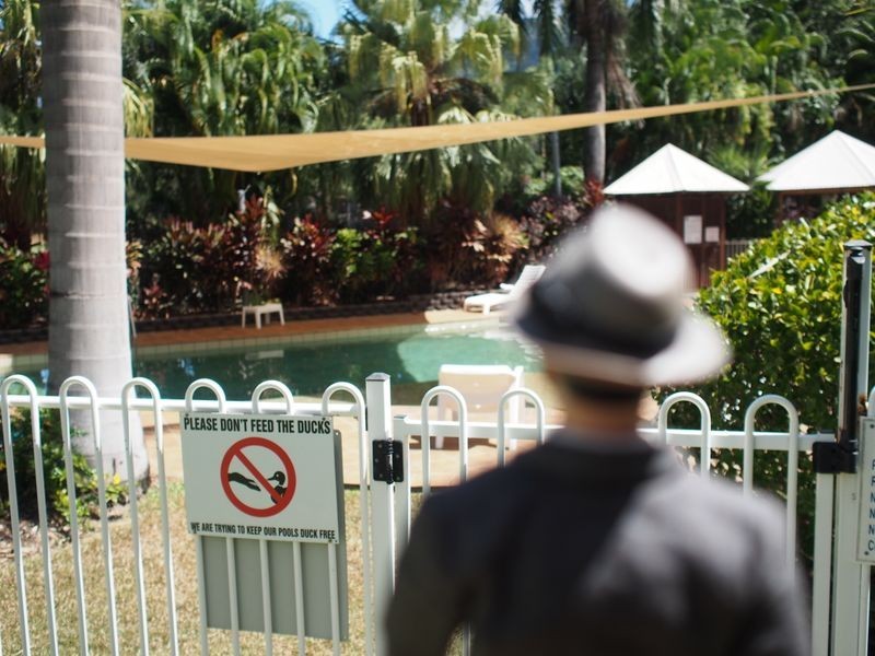 147/419 Coral Coast Drive, Palm Cove QLD 4879